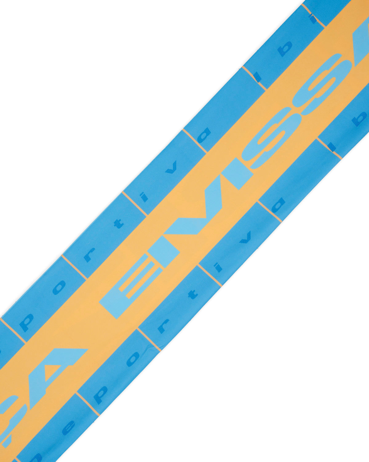 Brain Dead x UDI Stripe Scarf - Blue Multi 4